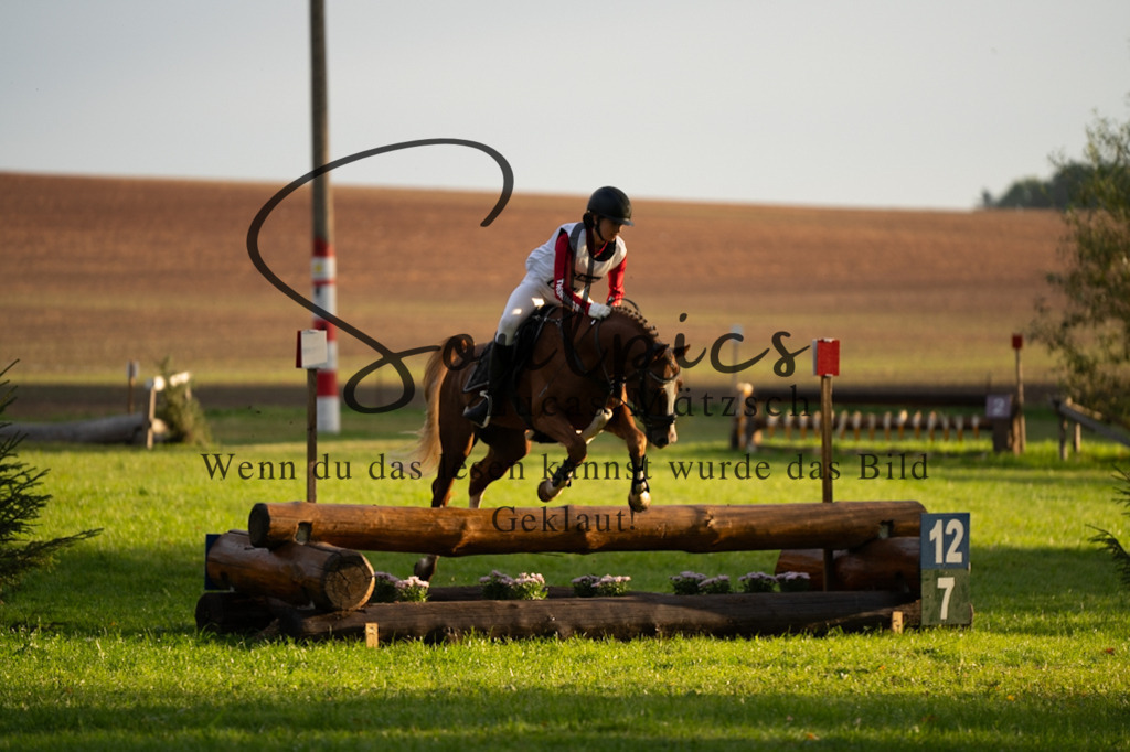 A7V02867 | Turnier/Reitfotograf