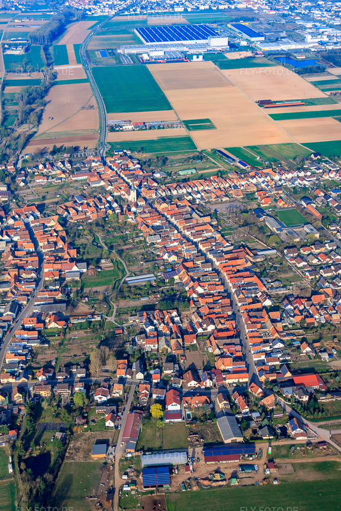 Luftbild: Lange Straße in Ottersheim bei Landau im Bundesland Rheinland-Pfalz in Deutschland. Foto: IMG_49341.jpg vom 28.03.2012 durch Werner Riehm/FLY-FOTO.de