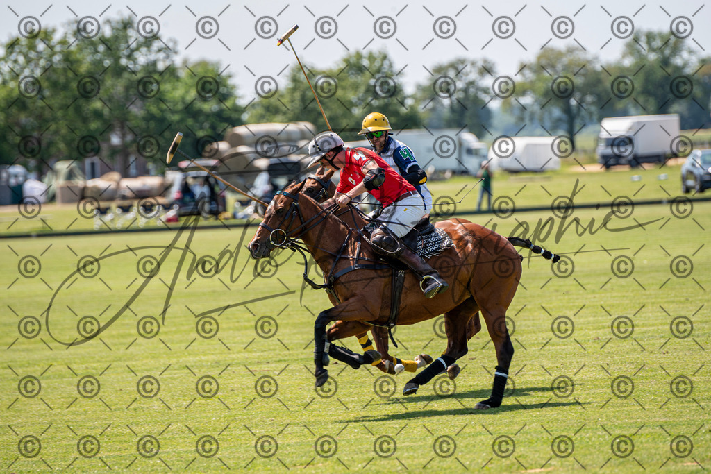 POL_3249 | andre_photographic