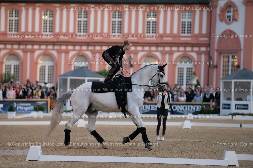 20230527_Voltigieren_NASPA_Flutlicht_0099 | equistock
