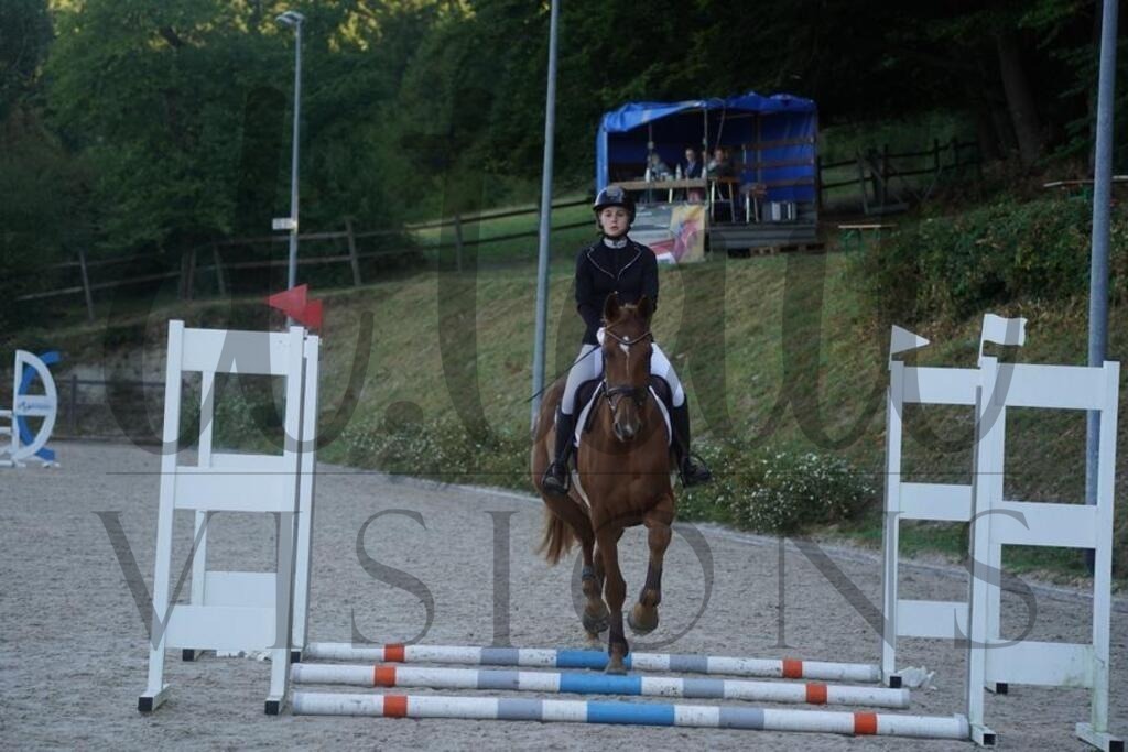 tgbhsonntag (96) | d.tail Visions - Shop - Realisiert mit Pictrs.com