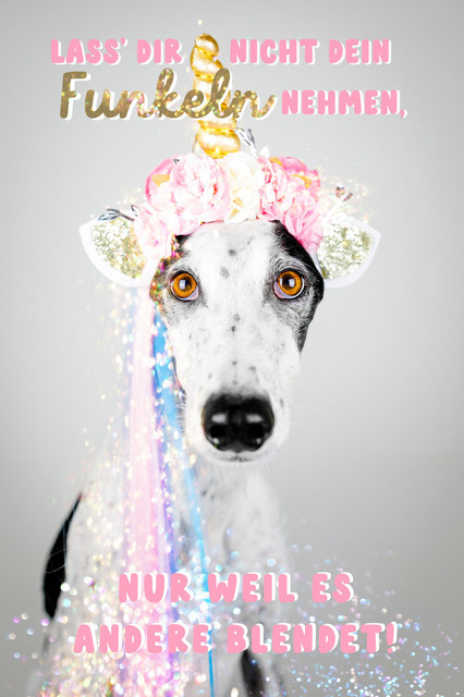 Patch funkelt | "Lass' die nicht dein Funkeln nehmen, nur weil es andere blendet!"