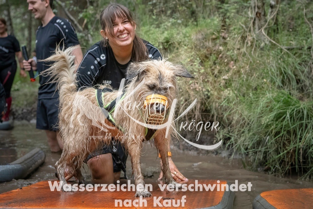 1211_ZZ97586T | kk-dogfotos