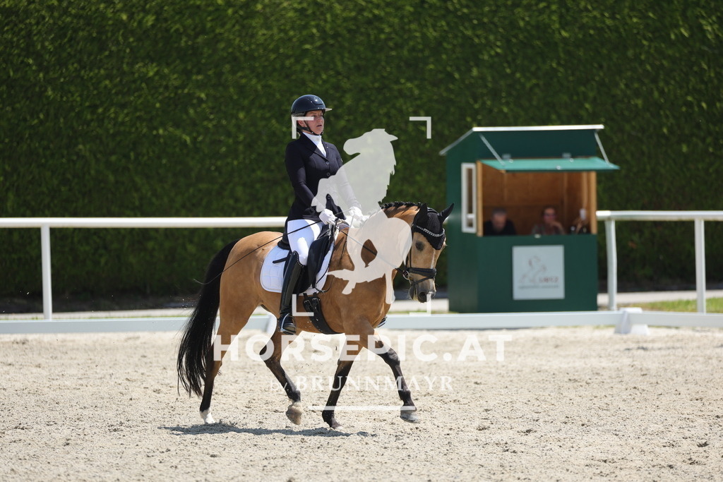 0P6A1695 | Willkommen bei Brunnmayr - Design & Fotografie – Ihrem Spezialisten für Reitturniere und Pferdeveranstaltungen in Oberösterreich, Salzburg und Bayern! Seit über 17 Jahren sind wir leidenschaftlich dabei.