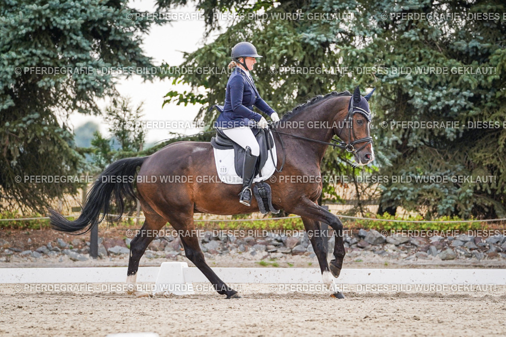 DSC00184 | Pferdegrafie