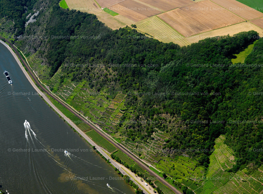 2721684 | Weinhänge an der Mosel bei  Oberfell
