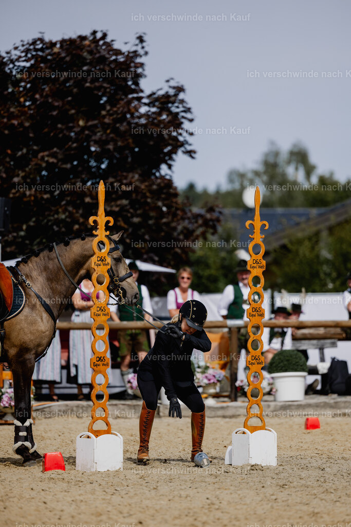 Katja7_FHC2025-20239 | working equitationturnier fotograf videograf stoibphotography marixx film working equitation deutschland reitsport turnierfotografie eventfotografie equestrian events