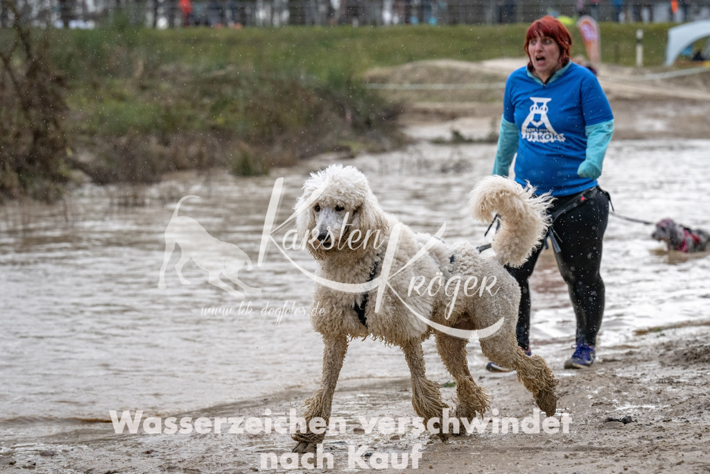 1533_ZZ94579 | kk-dogfotos