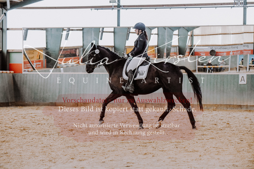 DSC_7643 | Pferde- und Turnierfotografie in Westsachsen. Pferdeportraits, Auftragszeichnungen und intuitive Kunst.