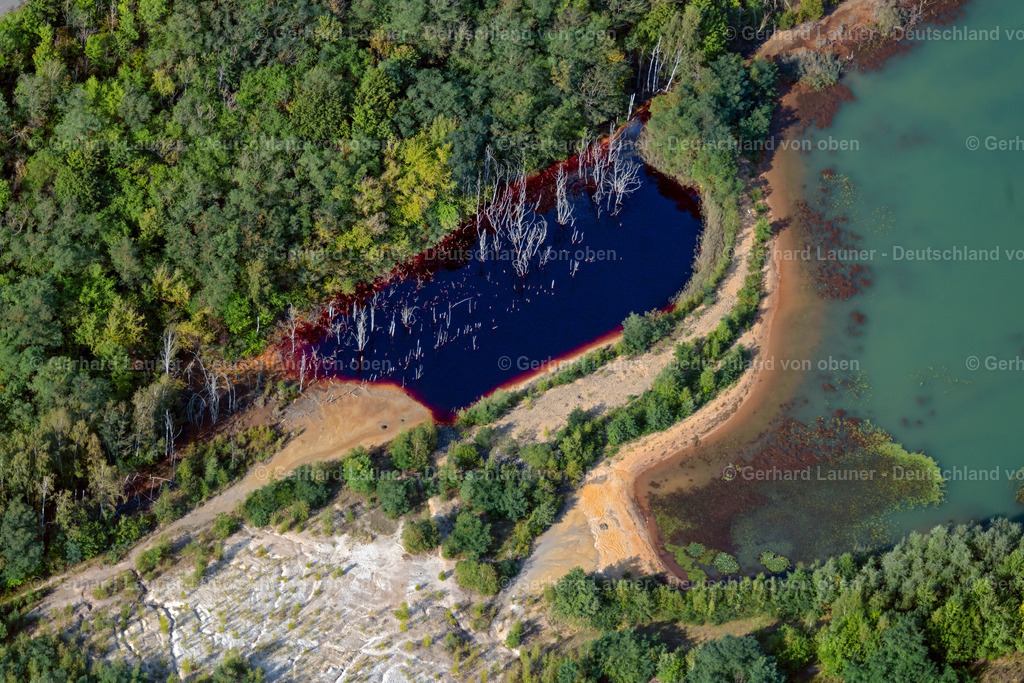 4038945 | BRAUNSBEDRA 08.09.2021 Rekultivierung der ehemaligen Tagebau - Fläche an den Uferbereichen des Sees " Geiseltalsee " in Braunsbedra im Bundesland Sachsen-Anhalt, Deutschland. // Open pit re cultivation on the shores of the lake " Geiseltalsee " in Braunsbedra in the state Saxony-Anhalt, Germany. Foto: Gerhard Launer