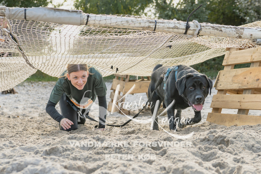 1248_ZZ93643 | kk-dogfotos