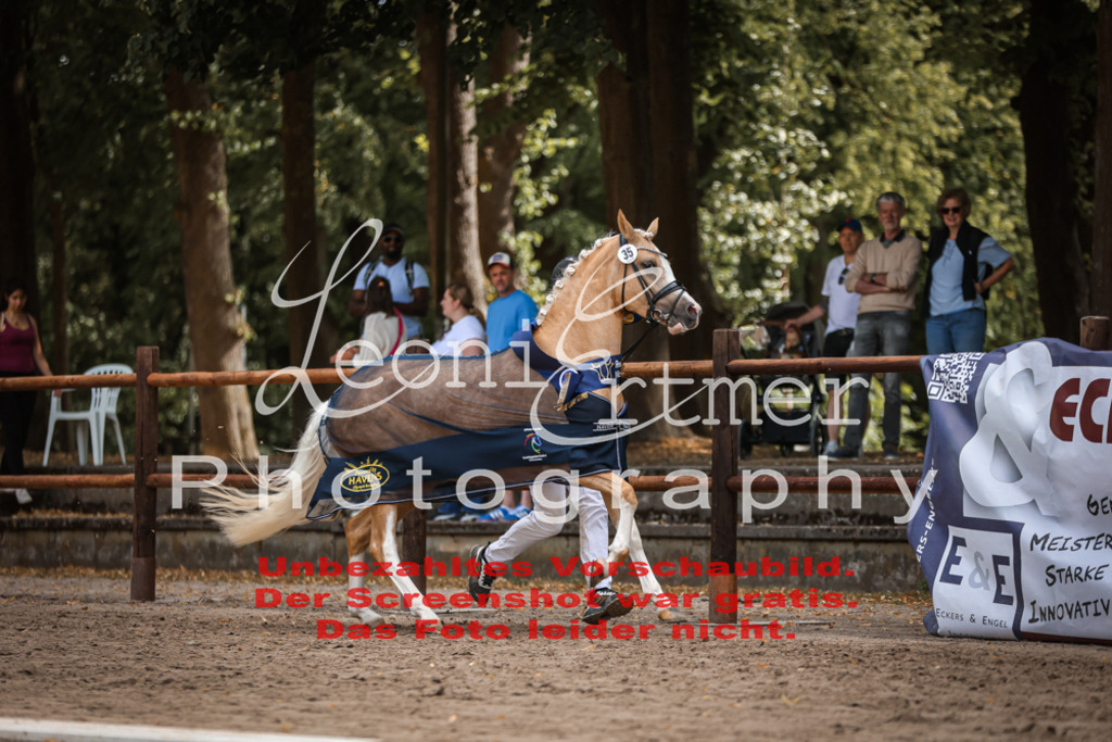 SoER00105 | Leoni Ertmer Photography - Realisiert mit Pictrs.com