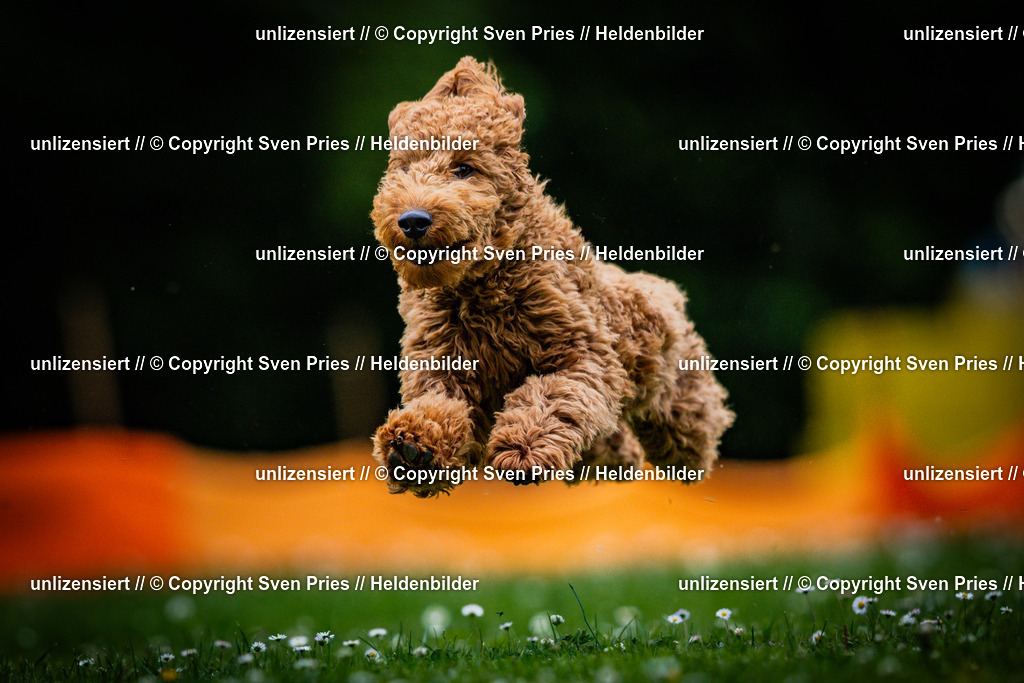 Sven Pries | 2025-05-29 - Pudelrennen KA-Durlach - Realisiert mit Pictrs.com