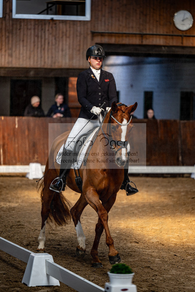 20240308-DOS_4133 | Entdecke hochwertige Reitturnierfotos von Foto Oger. Professionell, emotional und authentisch – jetzt Lieblingsmomente im Shop bestellen.Deutschlandweite Turnierfotografie. - Realisiert mit Pictrs.com