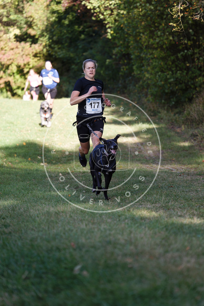 0L8A5516 | Hundefotografie, Tierfotograf, Pfotenfotografie, Fotoshooting Hund, Hunde Portrait, Hundesport, Hundeportraits, Heideshooting, Hunde, Sportfotograf, Hundefotograf, Turnierhundsport, THS,  - Realisiert mit Pictrs.com