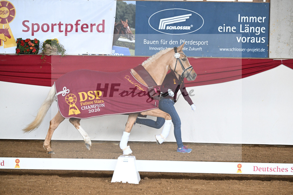 Kat-Nr. 35 Gruendleinshofs Herzbeben v. Golden West_Bauer_16250481 | hf-fotografie - Realizzato con Pictrs.com