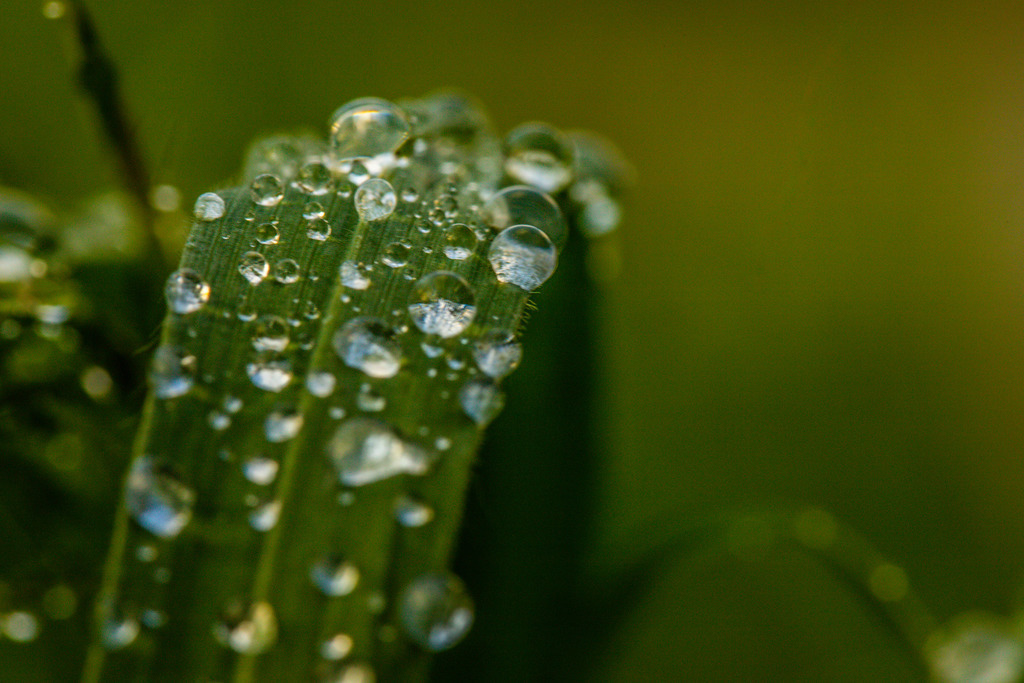 IMG_2375 | ehrlichefotos - Realisiert mit Pictrs.com