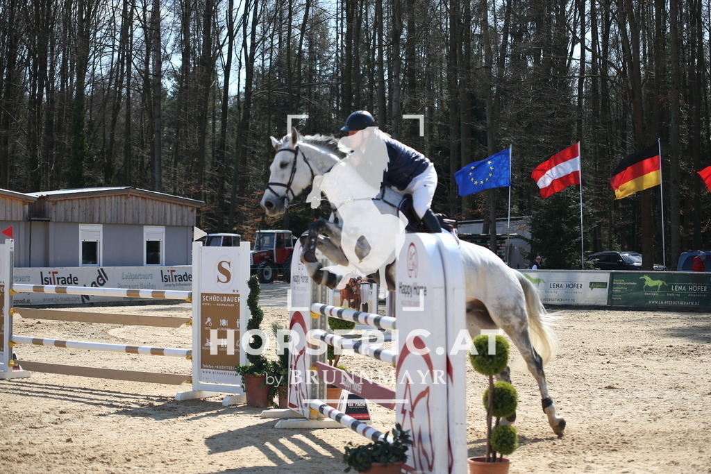 AS8V3769 | Willkommen bei Brunnmayr - Design & Fotografie – Ihrem Spezialisten für Reitturniere und Pferdeveranstaltungen in Oberösterreich, Salzburg und Bayern! Seit über 17 Jahren sind wir leidenschaftlich dabei.