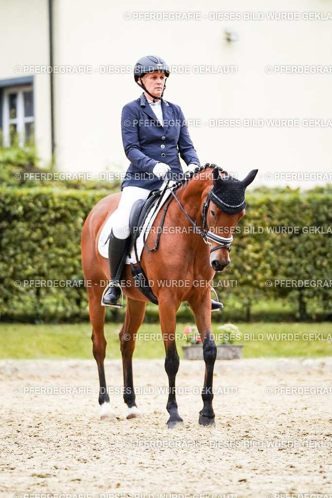 DSC01381 | Pferdegrafie