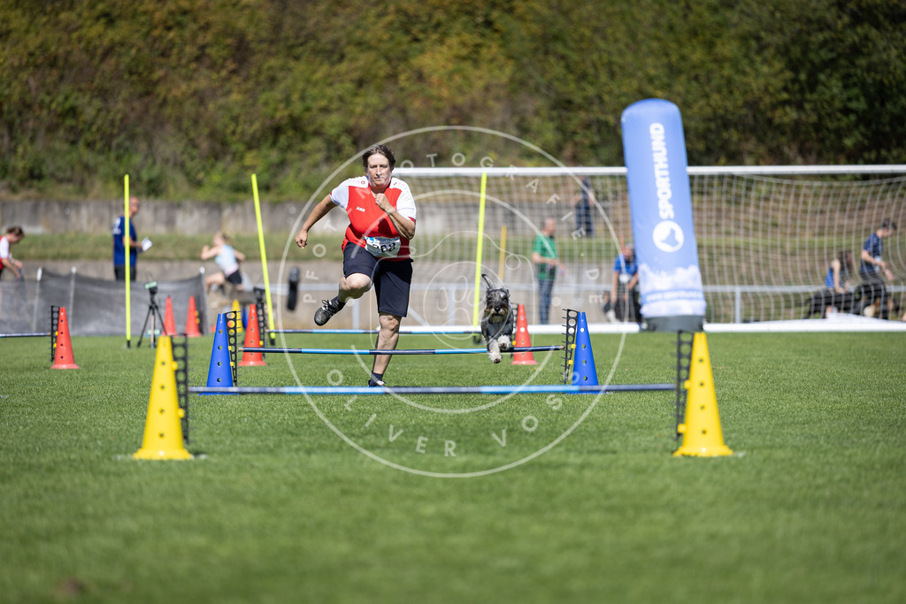 Pfotenfotografie_DV3A6747 | Hundefotografie, Tierfotograf, Pfotenfotografie, Fotoshooting Hund, Hunde Portrait, Hundesport, Hundeportraits, Heideshooting, Hunde, Sportfotograf, Hundefotograf, Turnierhundsport, THS,  - Realisiert mit Pictrs.com