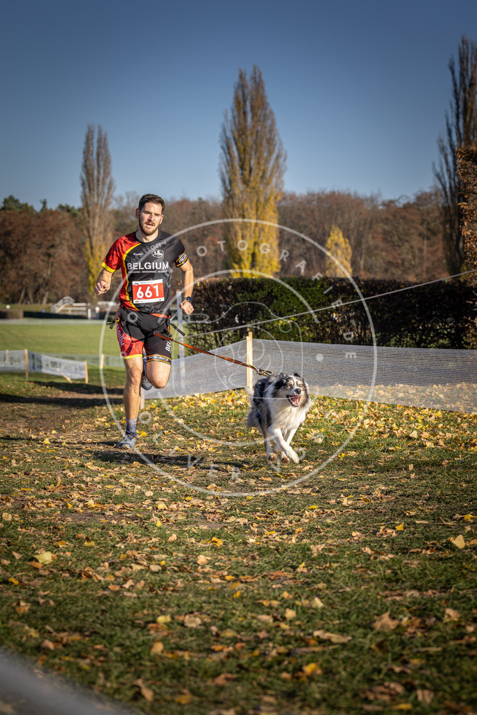 CaniXpix_DV3A0684 | Hundefotografie, Tierfotograf, Pfotenfotografie, Fotoshooting Hund, Hunde Portrait, Hundesport, Hundeportraits, Heideshooting, Hunde, Sportfotograf, Hundefotograf, Turnierhundsport, THS,  - Realisiert mit Pictrs.com