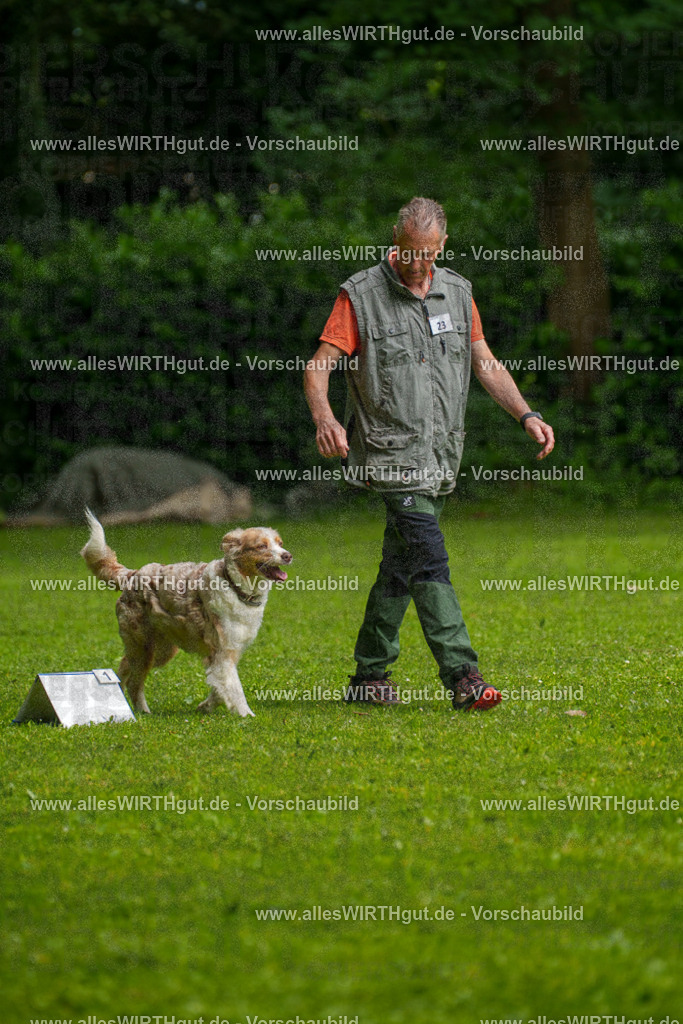 @allesWIRTHgut_Tierfotografie - www.allesWIRTHgut.de - 7R502810 | Professionelle Tierfotografie in Mönchengladbach von Daniel Wirth (allesWIRTHgut). Liebevolle & natürliche Bilder von Hunden & Katzen für unvergessliche Erinnerungen.