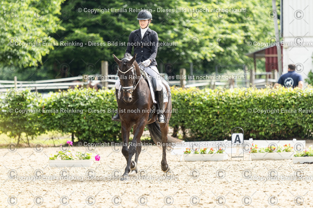 CL5A5924 | Emilia Reinking Fotografie - Realisiert mit Pictrs.com