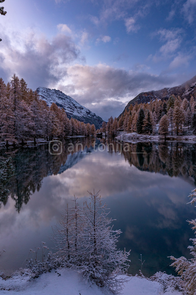 JB3A4534 | antonija-trupina - Realisiert mit Pictrs.com