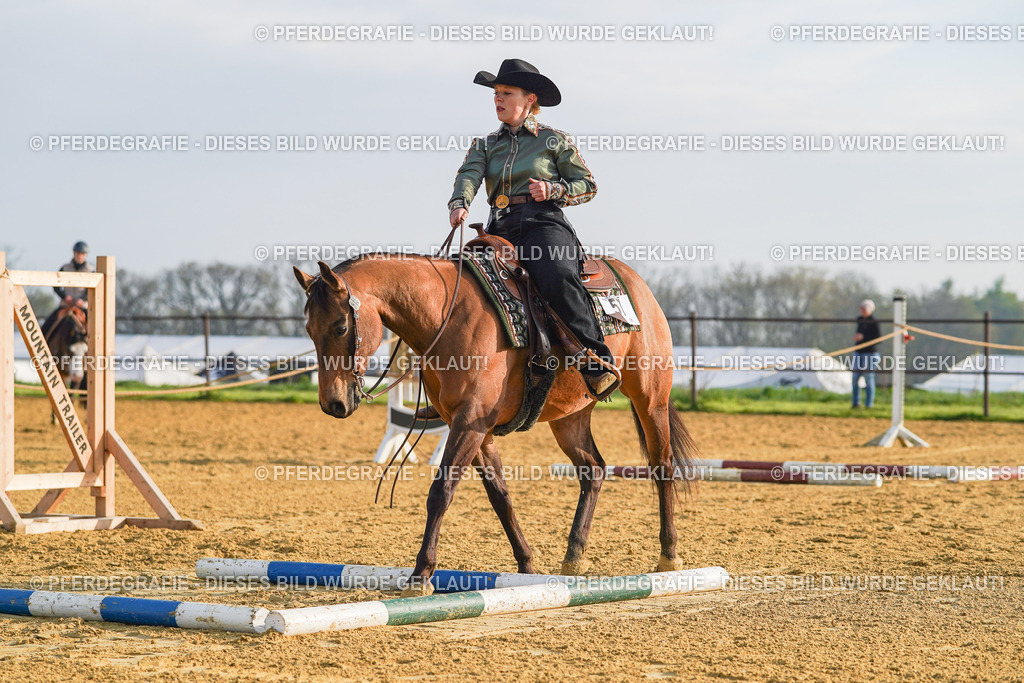 DSC00546 | Pferdegrafie