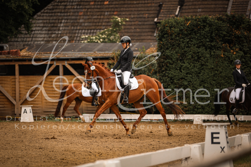 DoDrA00445 | Leoni Ertmer Photography - Realisiert mit Pictrs.com