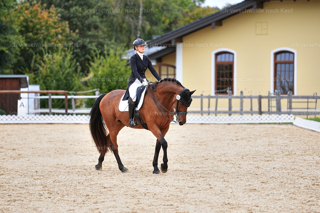 11-189-Dressur S___-Marixx-1784 | working equitationturnier fotograf videograf stoibphotography marixx film working equitation deutschland reitsport turnierfotografie eventfotografie equestrian events
