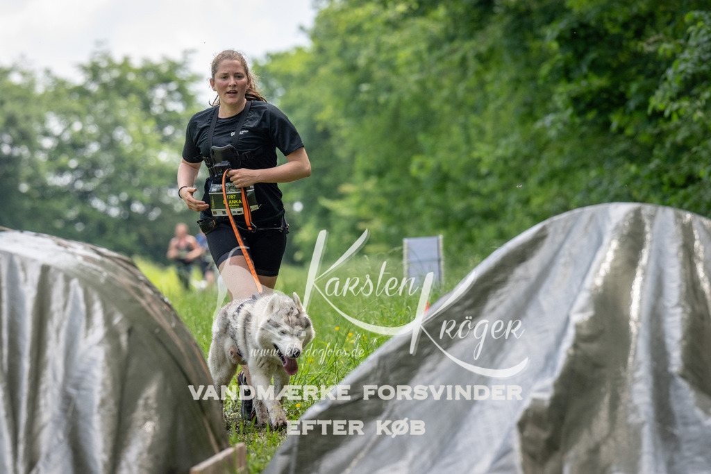 1137_ZZ93355 | kk-dogfotos