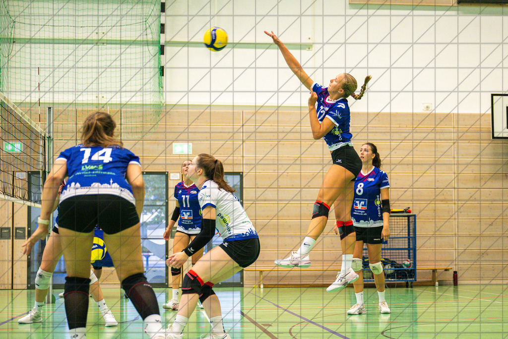 2. VBL Nord 25/26 | VC Osnabrück | Trainingsimpressionen | //  01.09.25: 2. VBL Nord 25/26 | VC Osnabrück | Trainingsimpressionen / Osnabrück / Deutschland  //   CREDIT:www.bullenfotos.de, Martin König, Hörner Weg 40, D-49078 Osnabrück, +4917663732967 // Nutzung und Weitergabe nur zu den vereinbarten Zwecken. Presseanfragen an Ersteller. Alle Rechte beim Ersteller. Honorierung nach MFM. - Realisiert mit Pictrs.com