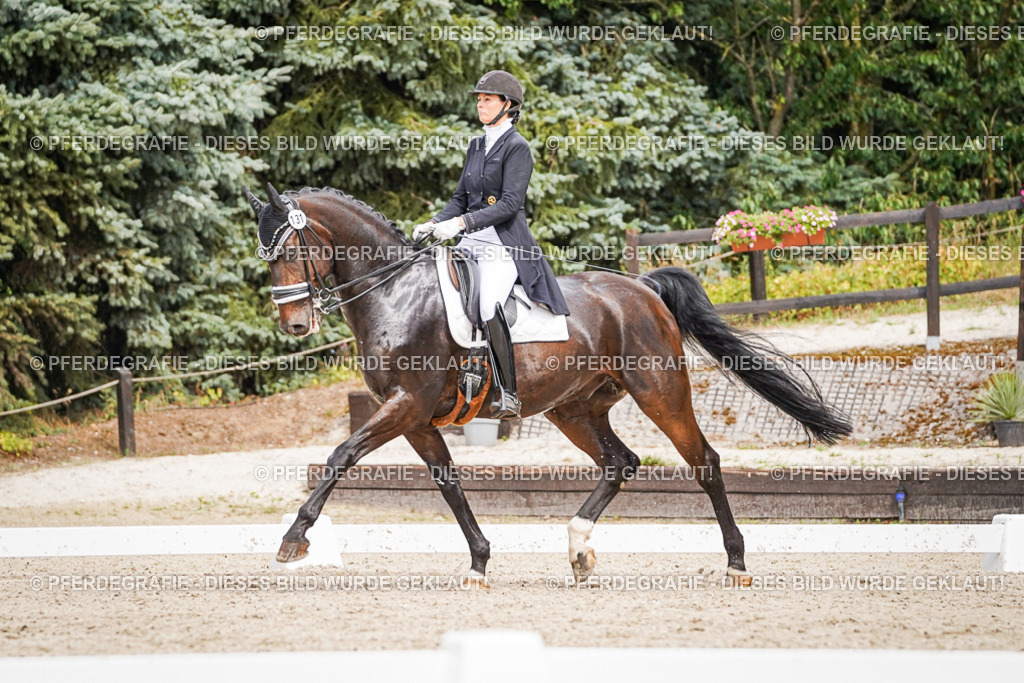 DSC06732 | Pferdegrafie