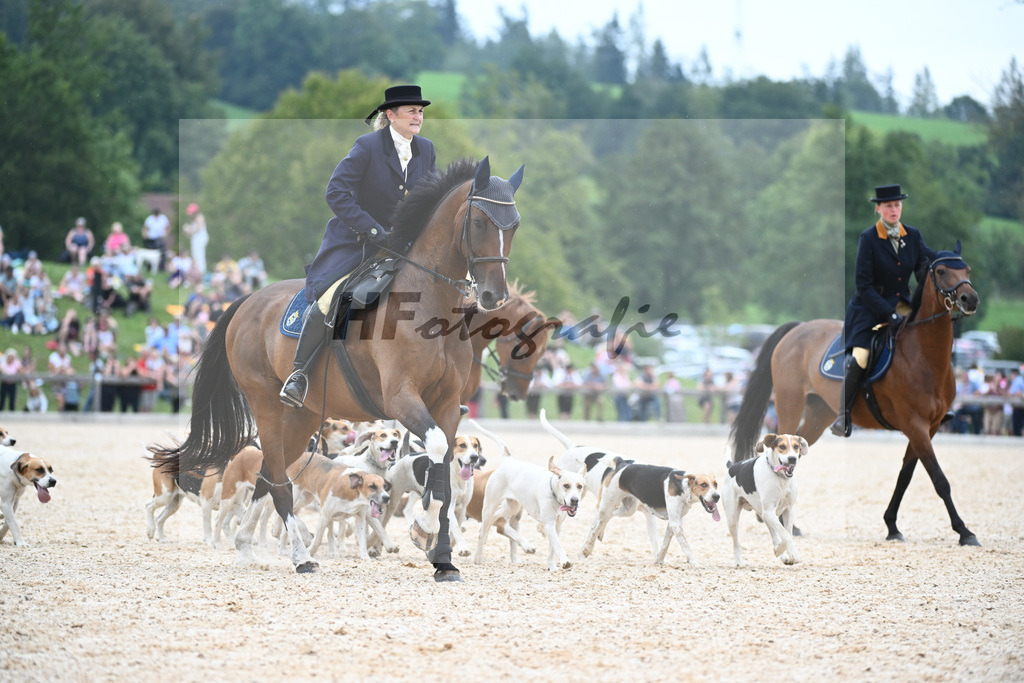 Jagdschaubild Schleppjagdverein Bayern_36240822 | hf-fotografie - Realisiert mit Pictrs.com