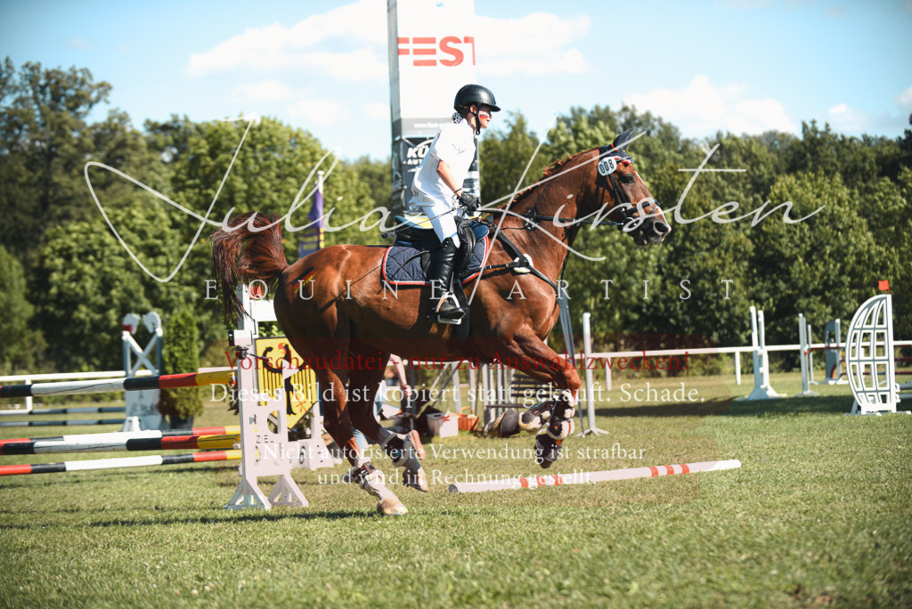DSC_7619 | Pferde- und Turnierfotografie in Westsachsen. Pferdeportraits, Auftragszeichnungen und intuitive Kunst.