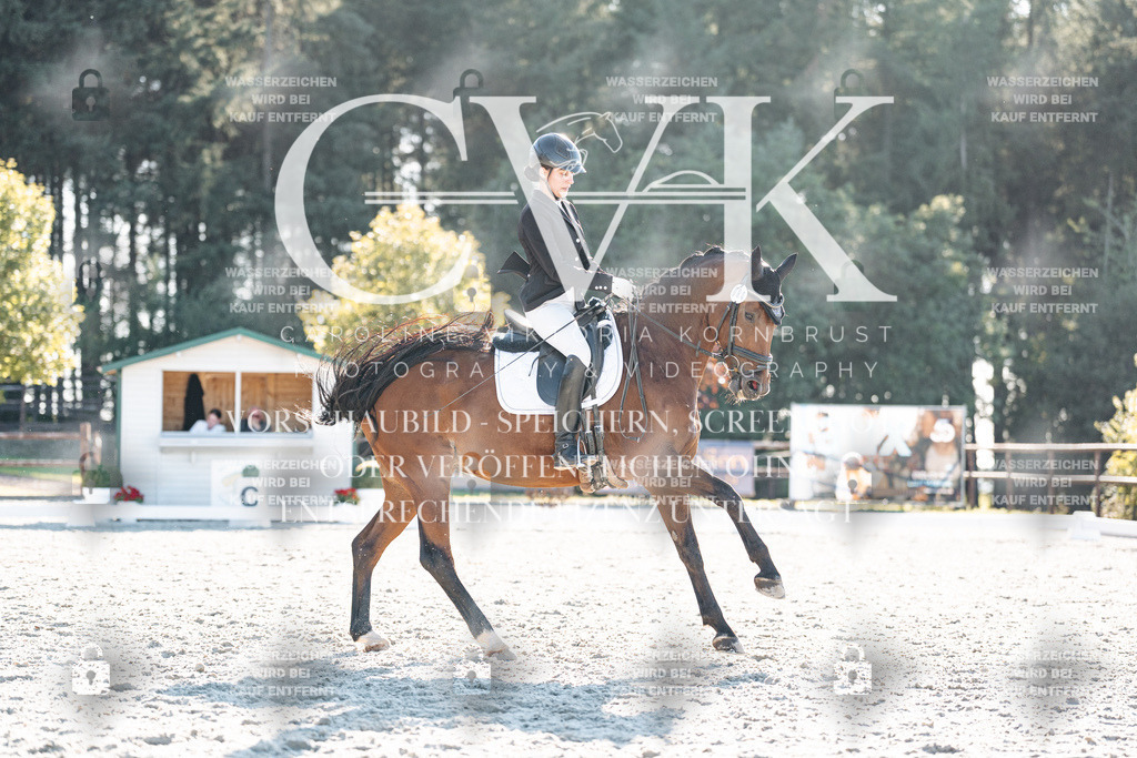 CK906798 | Turnierfotografie Pferdefotografie Trier Rheinland-Pfalz Pferdesport Reitsport Tierfotografie Sportfotografie Pferdevideo Pferdevideografie Equestrianvideography equestrianphotography  - Realisiert mit Pictrs.com