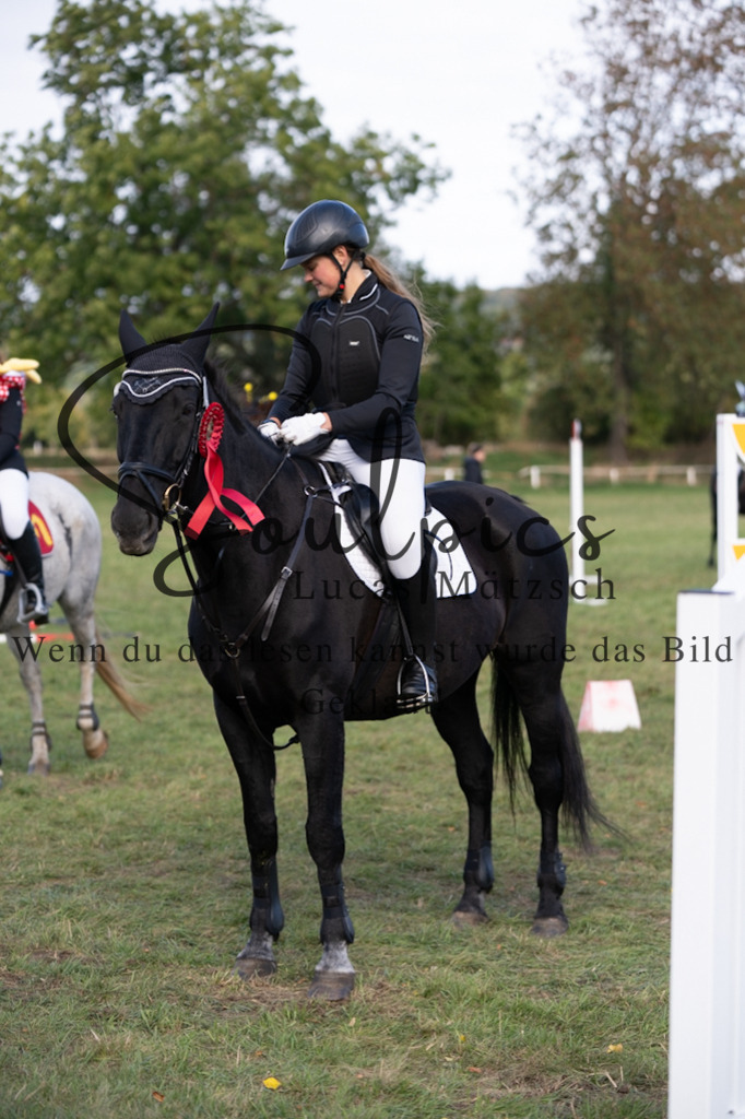 A7V06598 | Pferdefotograf