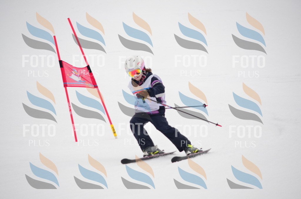 C0182 | holidayphoto