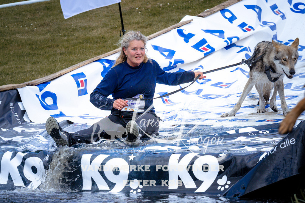 _ZZ914330914 | kk-dogfotos