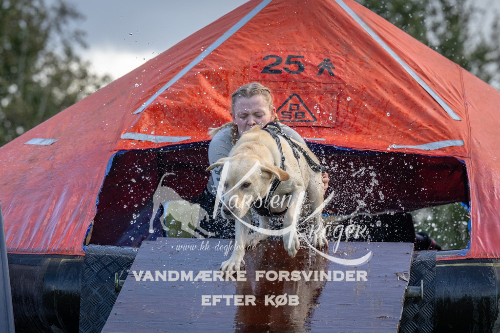 1255-90126 | kk-dogfotos