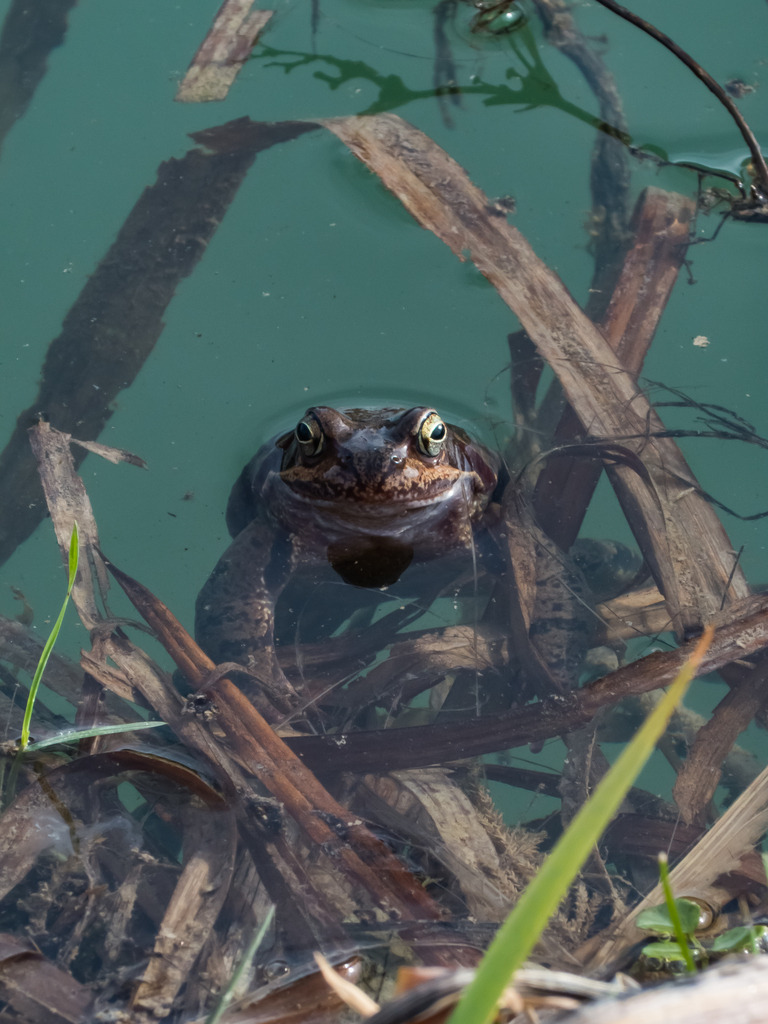 PSX_20230318_001702 | mtkfoto_ - Realisiert mit Pictrs.com