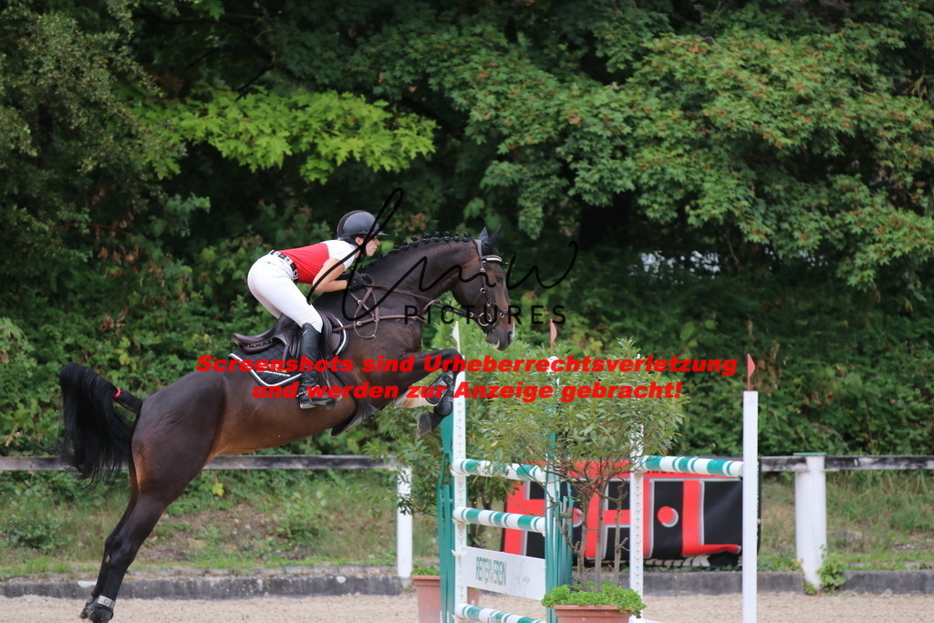 IMG_2223 | lmwpictures - Realisiert mit Pictrs.com