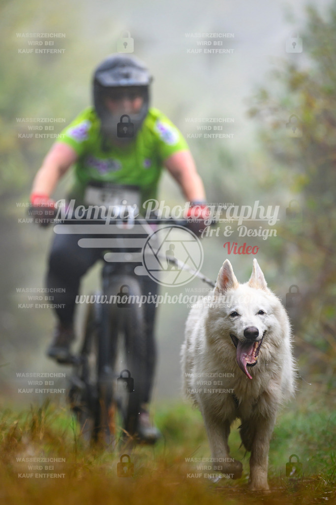 MompixPhotography_20TSB_E4_Bike-166 | PayLife