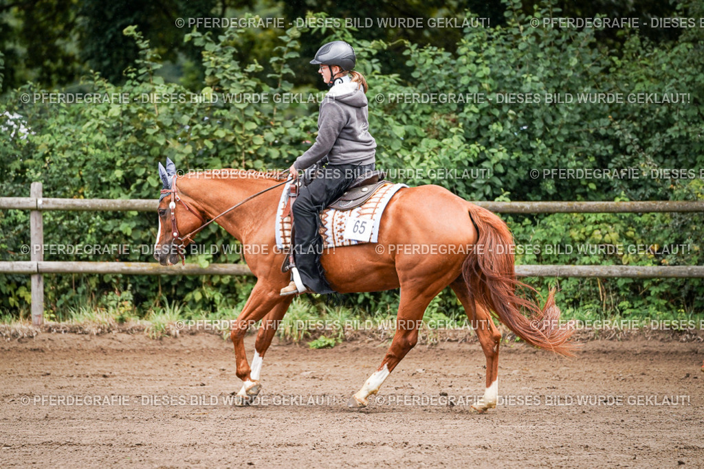 DSC05586 | Pferdegrafie