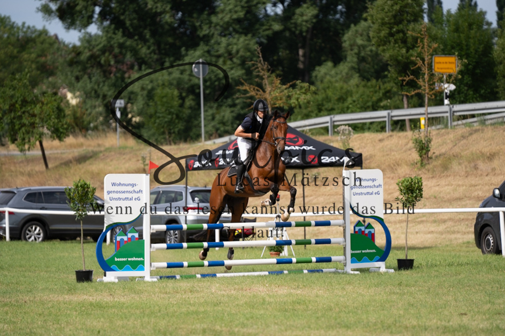 A7V01396 | Pferdefotograf