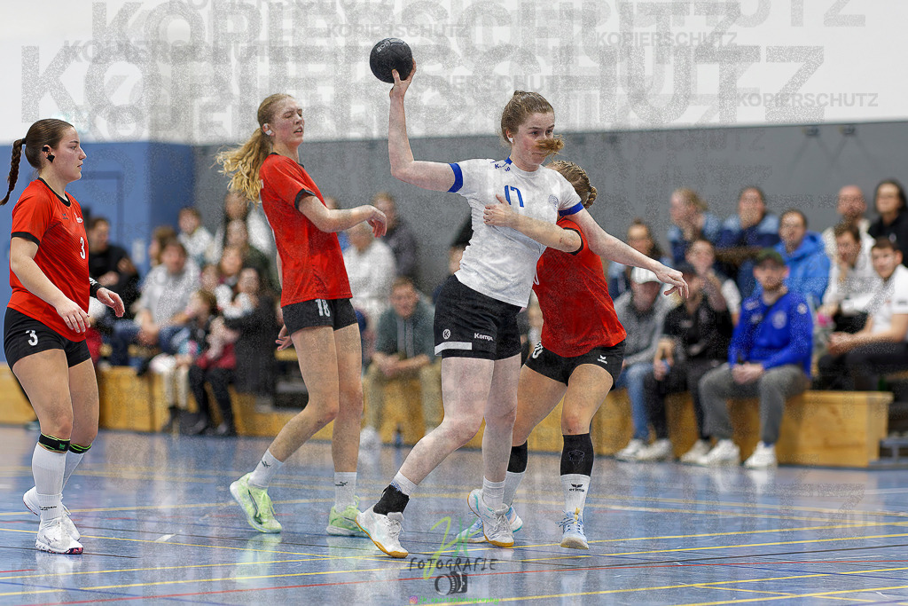 Frauen 2. Bezirksklasse; SG Rechtenbach - HSG Linden II | Frauen 2. Bezirksklasse; SG Rechtenbach - HSG Linden II am 16.11.2025 in Rechtenbach (Sporthalle Rechtenbach)Photo © 2025 - Jörg Heinrich - Realisiert mit Pictrs.com