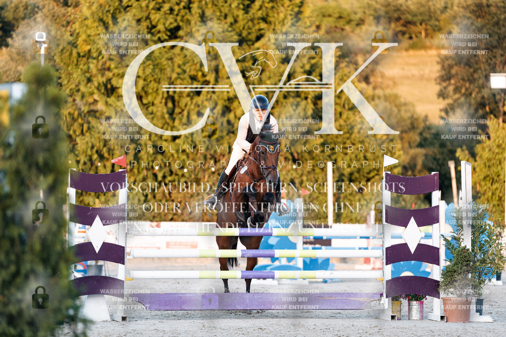 CK901300 | Turnierfotografie Pferdefotografie Trier Rheinland-Pfalz Pferdesport Reitsport Tierfotografie Sportfotografie Pferdevideo Pferdevideografie Equestrianvideography equestrianphotography  - Realisiert mit Pictrs.com
