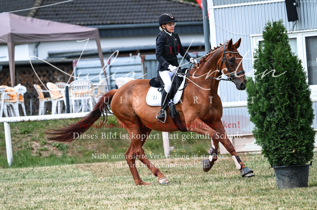 DSC_9001 | Pferde- und Turnierfotografie in Westsachsen. Pferdeportraits, Auftragszeichnungen und intuitive Kunst.