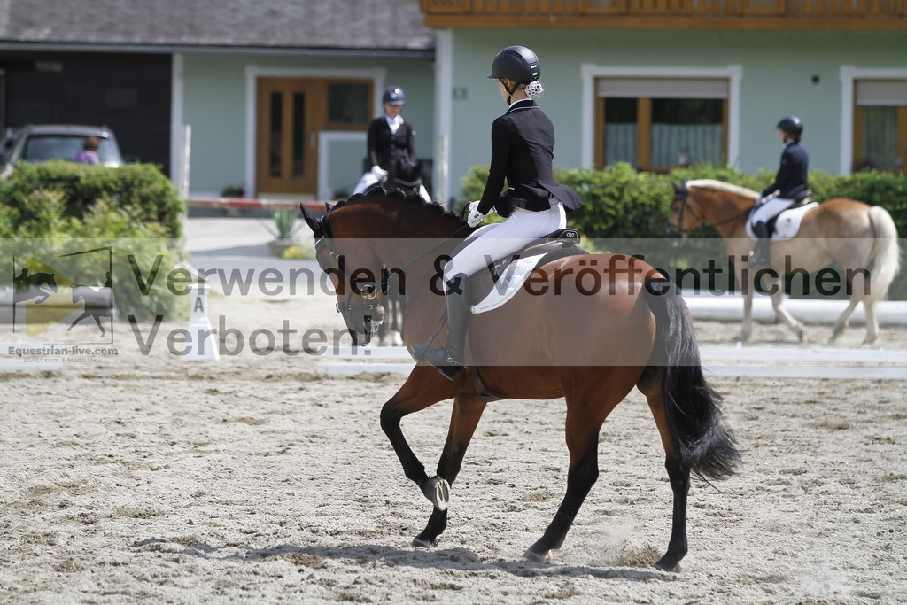 _MG_8471 | equestrian-live-com